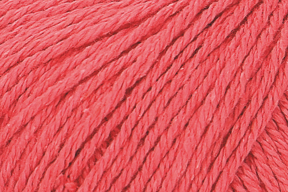 Cotton Cashmere